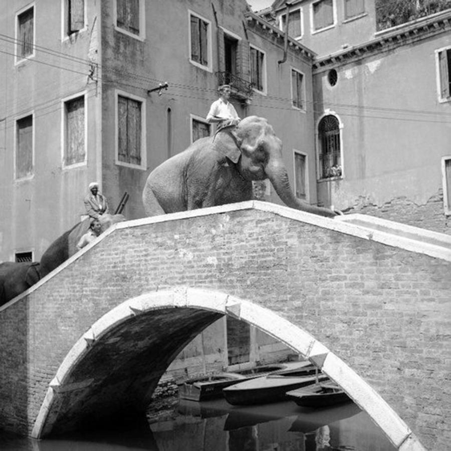 Ca' Circus 4 Rooms Wi-Fi Fibre Venedig Eksteriør billede